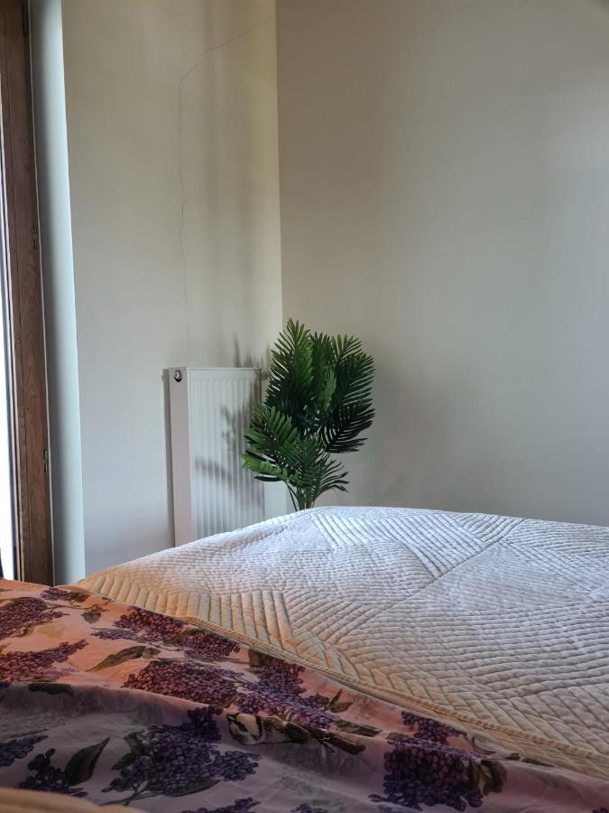 Venice Villa Apartment, Self Check-In 24H, Free Parking Posen Exterior foto